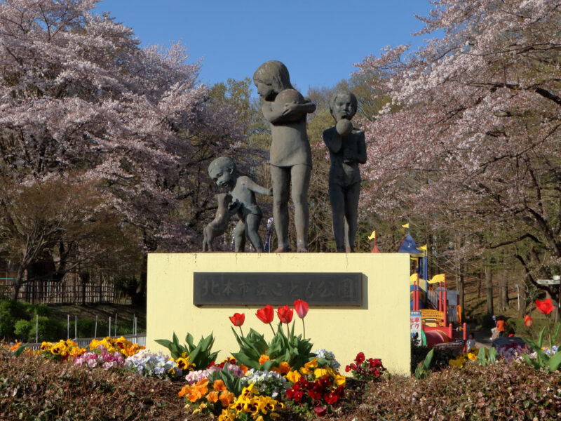 北本こども公園の桜を見に行ってきた